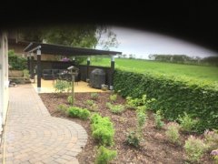IMG_0052.jpg
