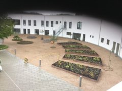 IMG_0078.jpg