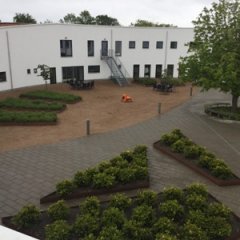 IMG_0087.jpg
