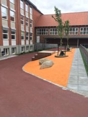 IMG_0540.jpg